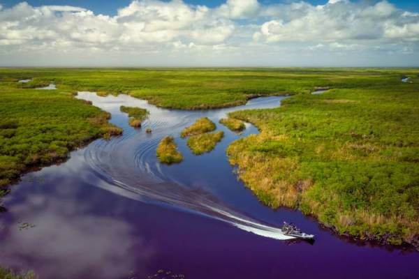 An airboat tour