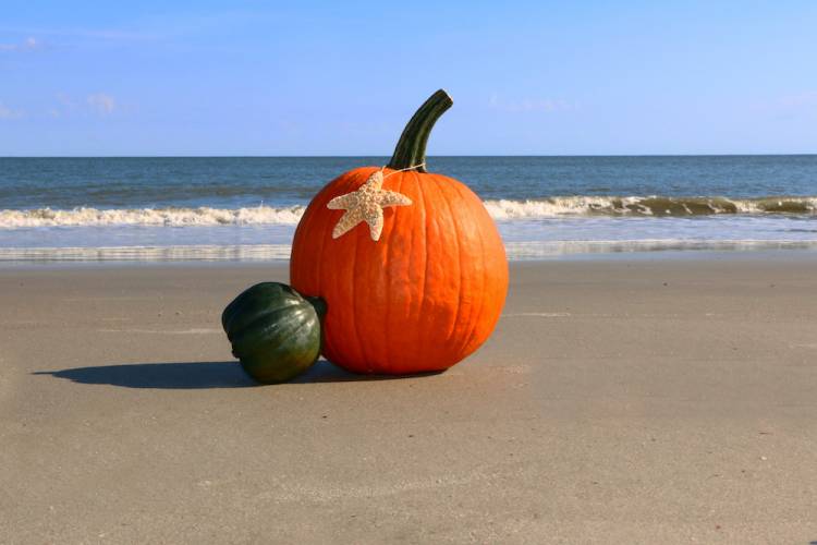 pumpkins on the beach during fall