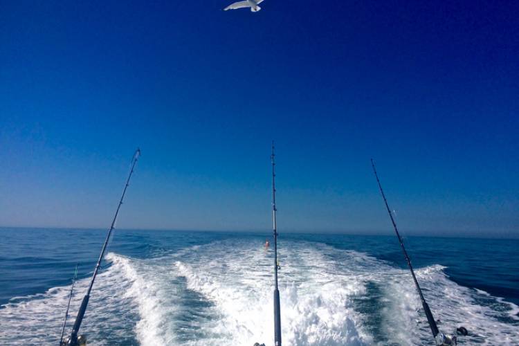 A fishing charter from Panama City Beach