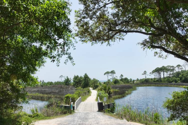 A pathway leading the the gulf beach in Camp Helen state park in Florida