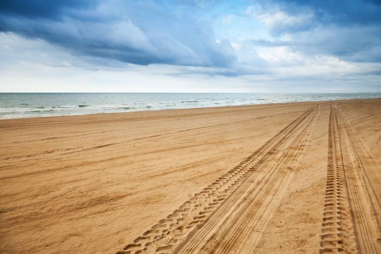 tire tracks in sand, off-roading, jeep festival