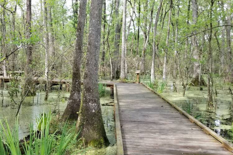 Panama City Beach Conservation Park 