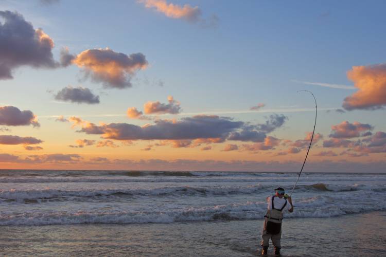 panama city beach surf fishing